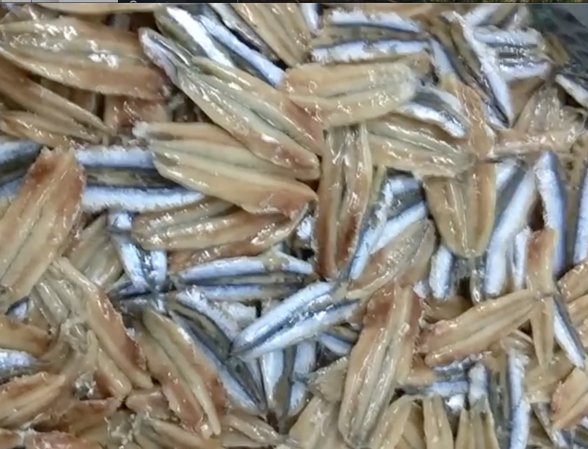 Anchovy fillets